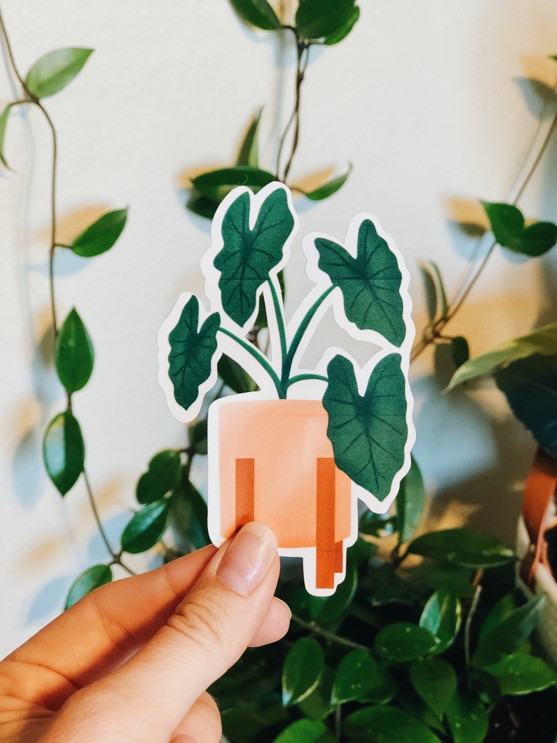 Alocasia Plant Illustration Weatherproof Die Cut Sticker - Etsy