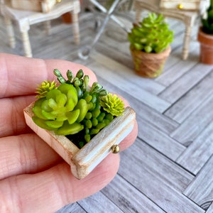 ミニチュア鉢植え植物、ドールハウス用フェイク多肉植物、ドールハウス用植物引き出し、ミニチュアガーデン