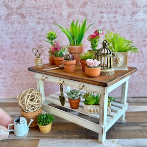 May include: Miniature potting table with various potted succulents and plants. The table is white with a wooden top and a lower shelf. Accessories include a small watering can, a ball of twine, and a miniature birdcage.