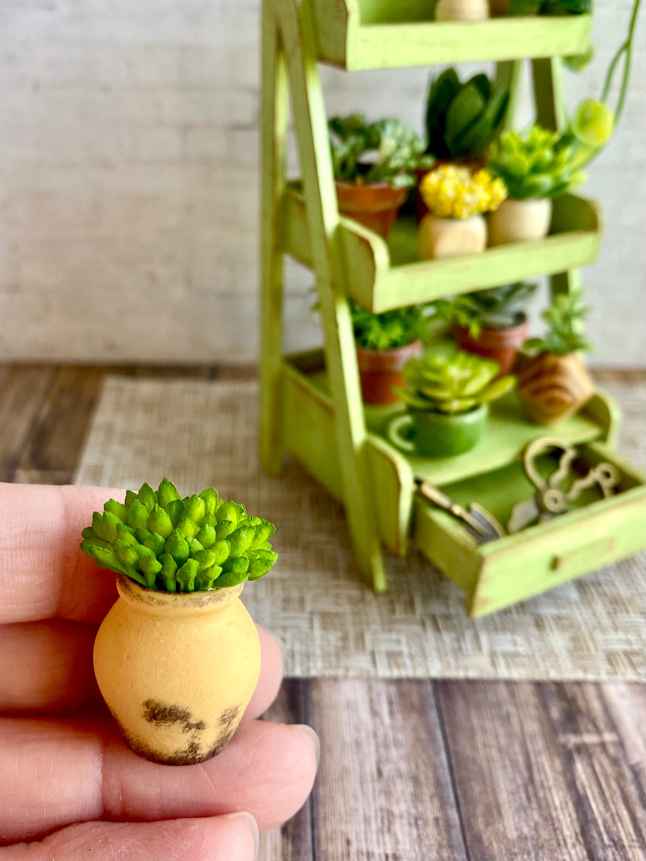 Miniature Garden Plant Shelf Dollhouse Garden Miniatures Etsy