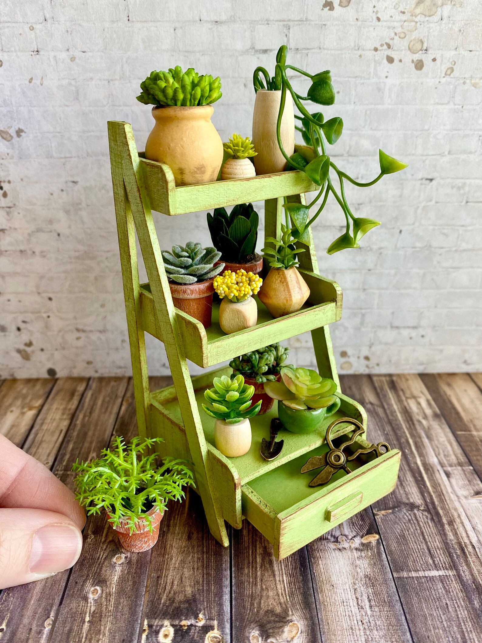 Miniature Garden Plant Shelf Dollhouse Garden Miniatures Etsy