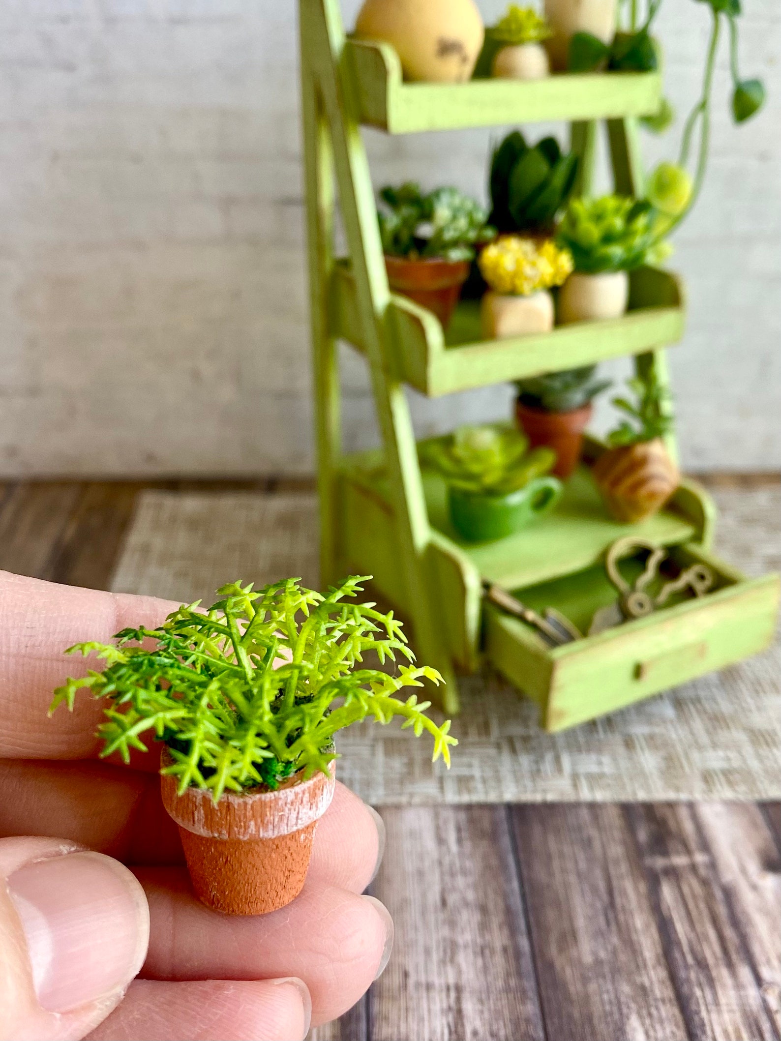 Miniature Garden Plant Shelf Dollhouse Garden Miniatures Etsy
