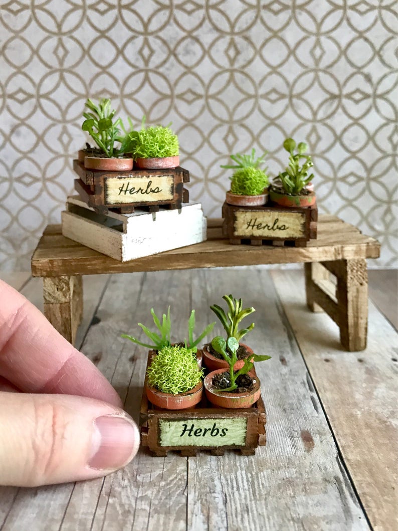 Miniature herbs dollhouse garden crate fairy garden plants
