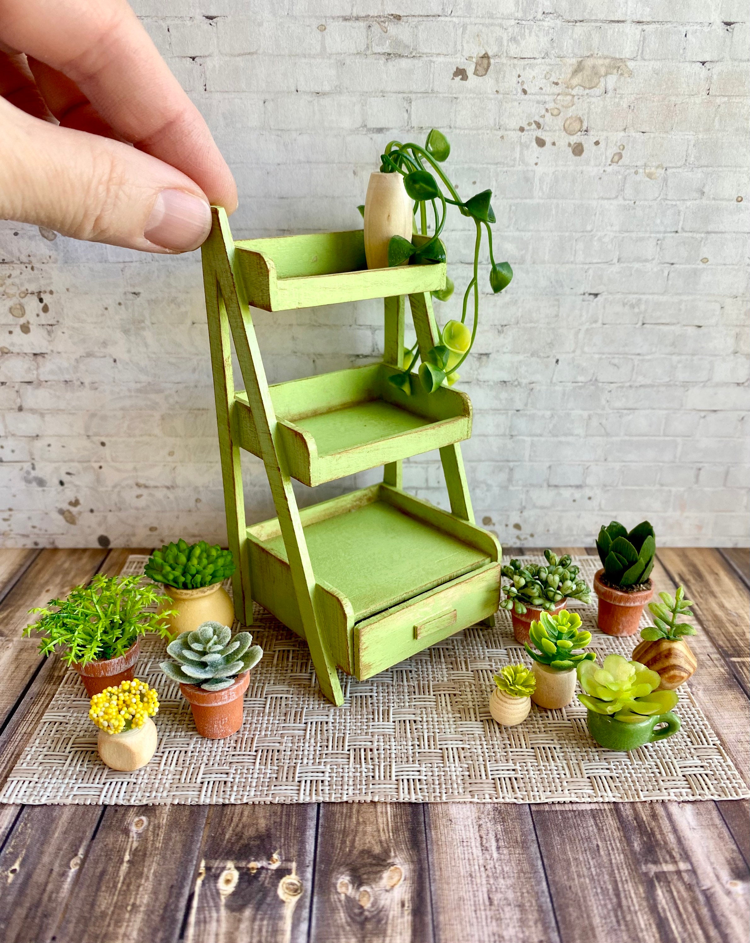 Miniature Garden Plant Shelf Dollhouse Garden Miniatures Etsy