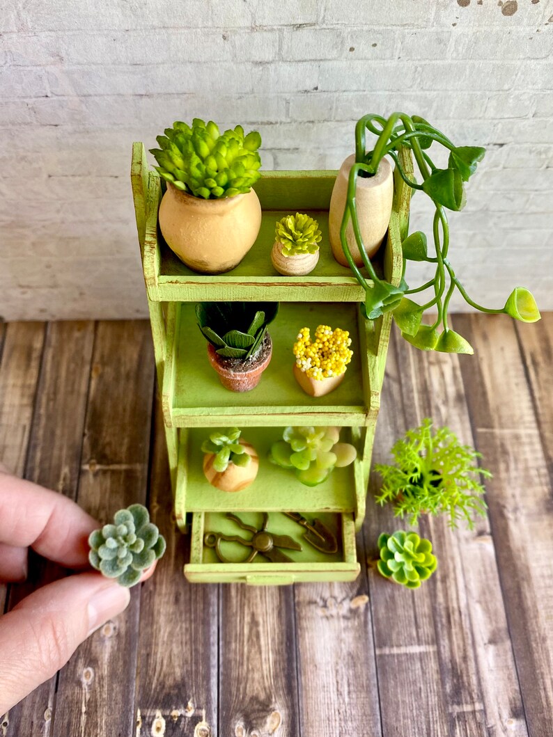 Miniature Garden Plant Shelf Dollhouse Garden Miniatures Etsy