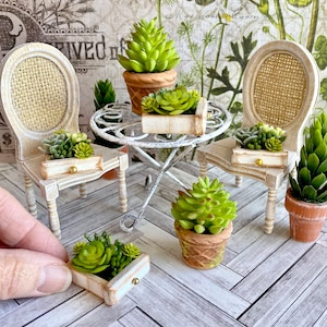 Miniature potted plants, dollhouse   Faux succulents, dollhouse plant drawer, garden miniatures