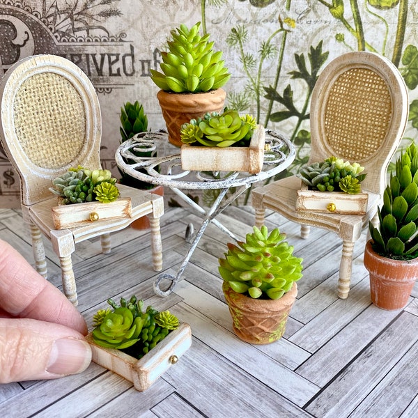 Miniature potted plants, dollhouse   Faux succulents, dollhouse plant drawer, garden miniatures