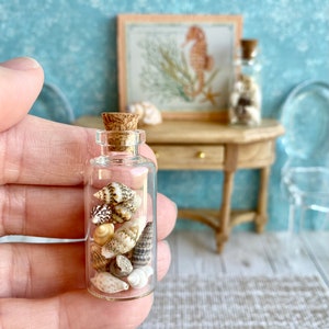 1:12 scale Dollhouse seashell jar, miniature beach house, miniature sea shell jar,