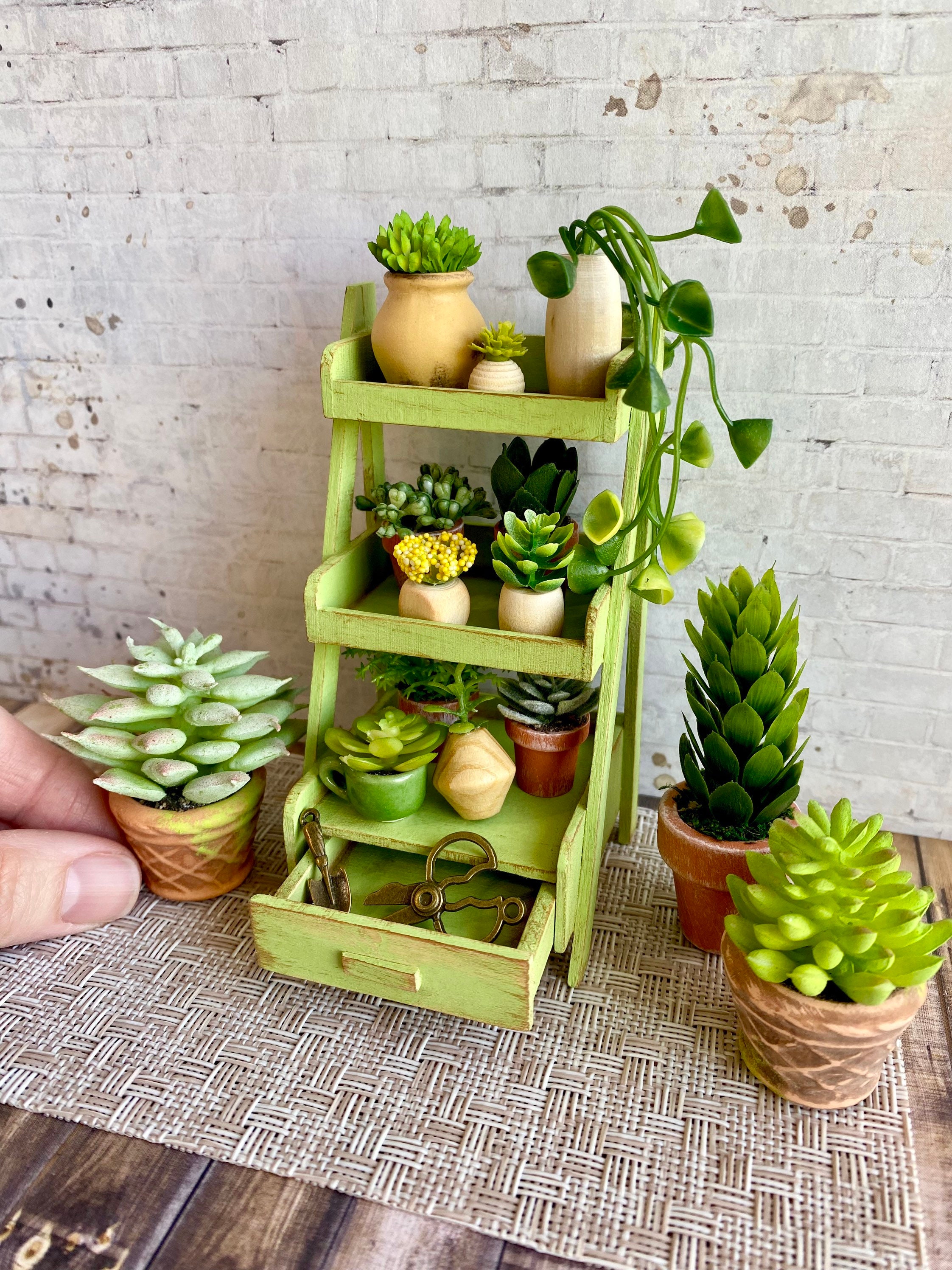 Miniature Garden Plant Shelf Dollhouse Garden Miniatures Etsy