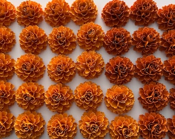 Cempasuchil (Marigold) Flower Kit Dia del los Muertos Decoration or DIY Craft