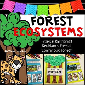 Waldökosysteme Mini Lapbook und Lesepassage