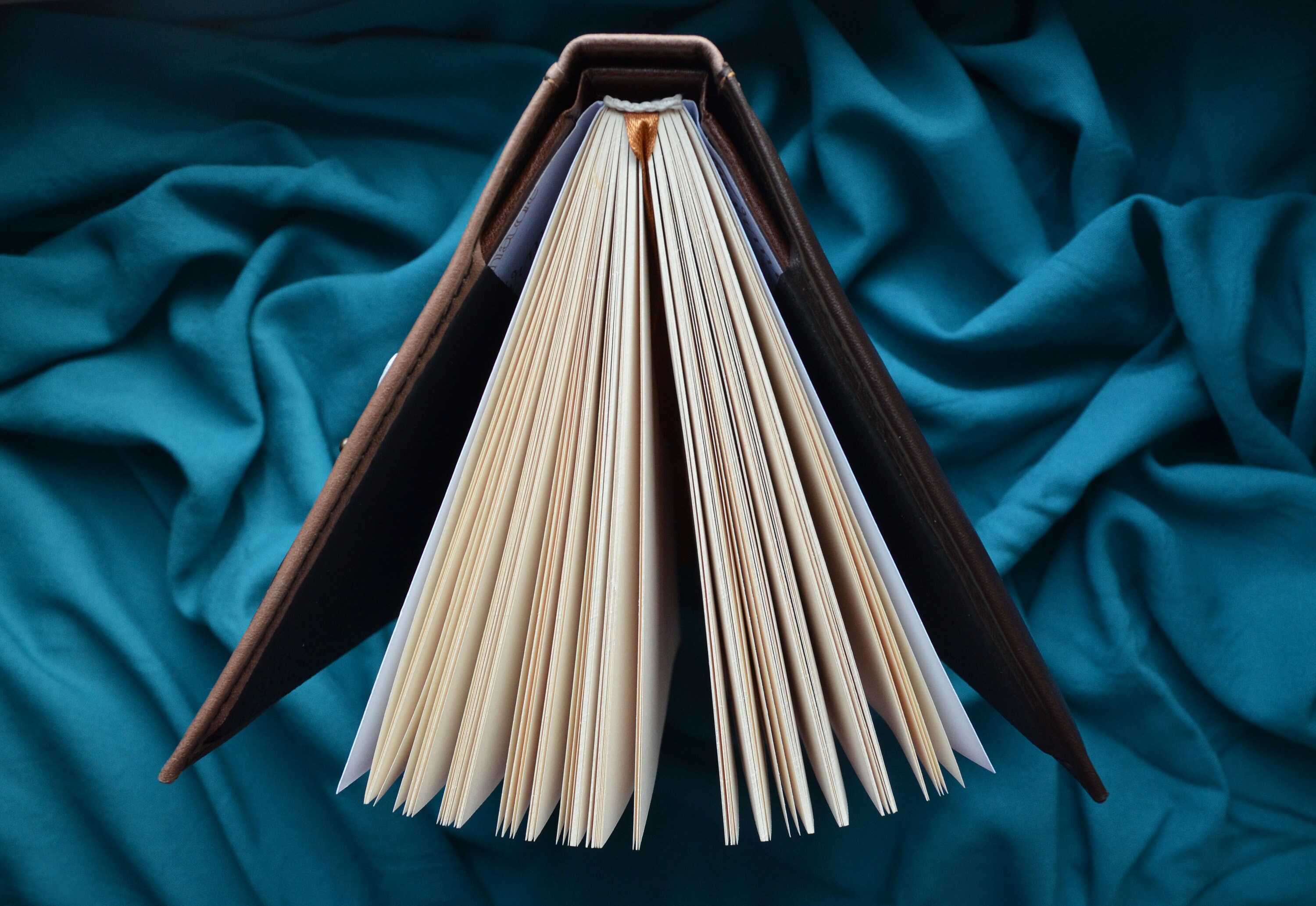 White Rabbit Alice in Wonderland Leather Notebook Journal - Etsy