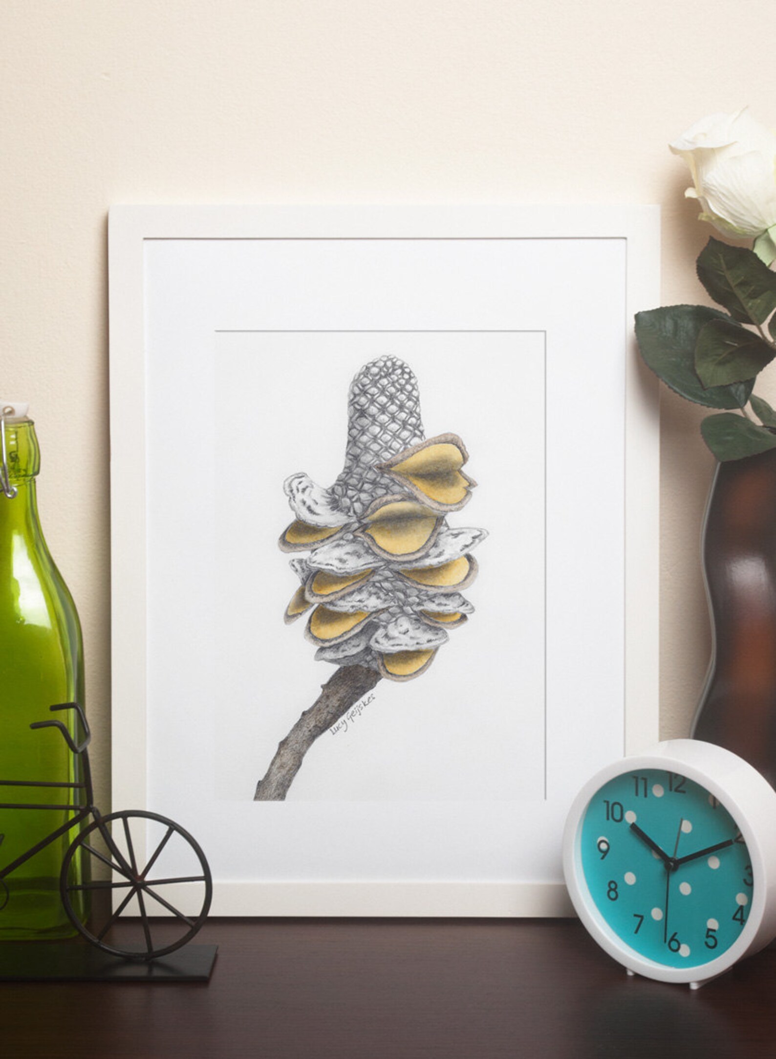 Banksia Seed Pod Drawing 1 - Etsy