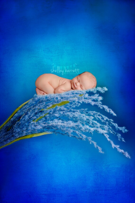 Blue Flowers Newborn Photography Digital Background Blue Etsy Blue Flowers Newborn Photography Digital Background Blue Etsy