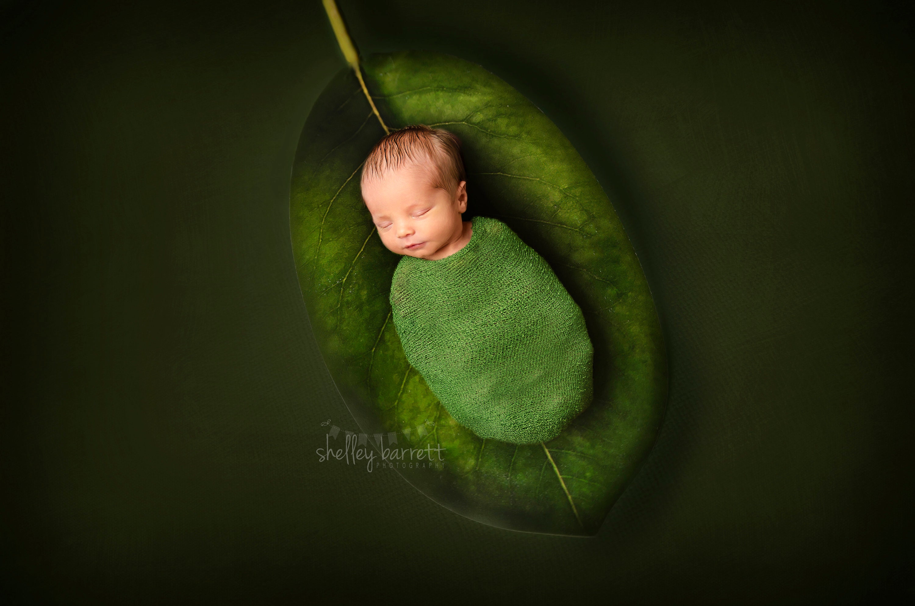 Newborn Photography Green Leaf Background Nature Photography Etsy