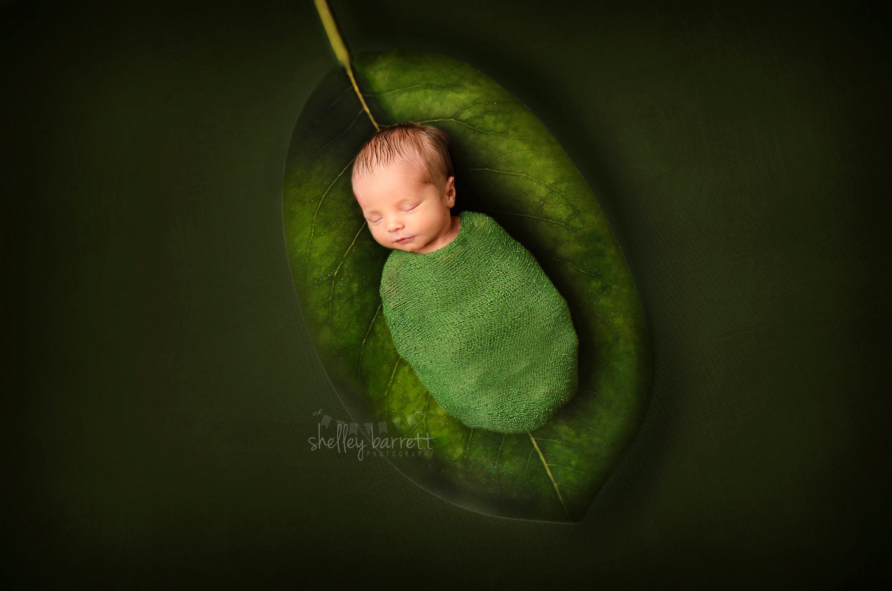 Newborn Photography Green Leaf Background Nature Photography Etsy Newborn Photography Green Leaf Background Nature Photography Etsy