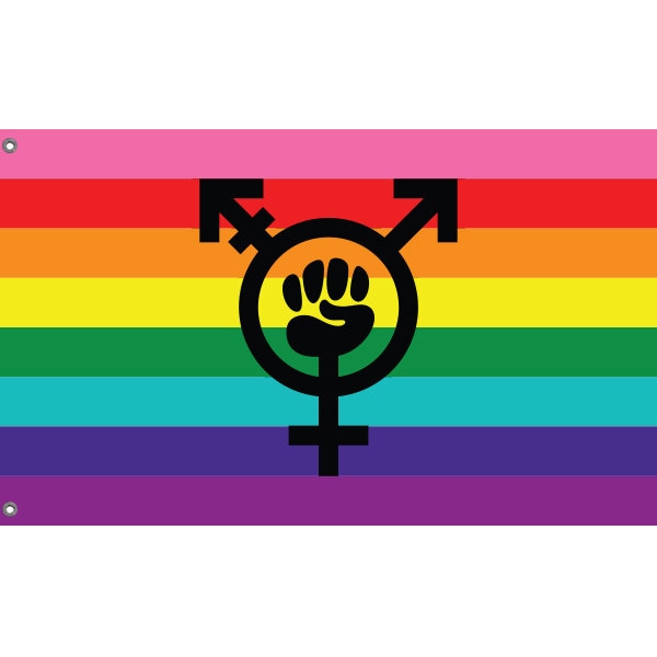 feminist fever banner