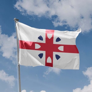Redesigned North Carolina State Flag | The Great American Redesign Project | Unique Design Print | Size - 3x5 Ft / 90x150 cm | Made in EU
