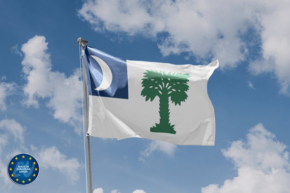 Albero Del Palmetto, L'isola Di Sullivan, Carolina Del Sud Fotografia - Foto 5