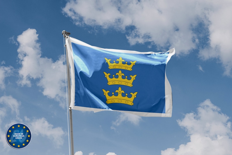 アイルランド領主（1386-1541）旗 | ユニークなデザインプリント | 高品質の素材 | 5サイズ | EU製 画像 1