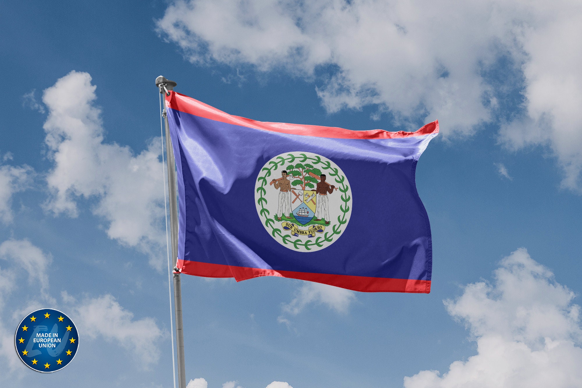 CANTENDO Belize Fensterflagge – 7,6 X 12,7 Cm, Mit Saugnapf, Quaste & Stange, Für Auto, Fenster, Spiegel