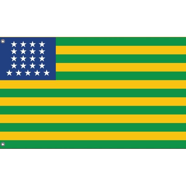 DRAPEAU BRÍ?SL 45x30cm HAMPE en bos - LOT DE 10 DRAPEAUX BRÍ?SLEN