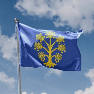 Appleby-in-Westmorland Town Flag | Unique Design Print | High Quality Materials | Size - 3x5 Ft / 90x150 cm | Made in EU