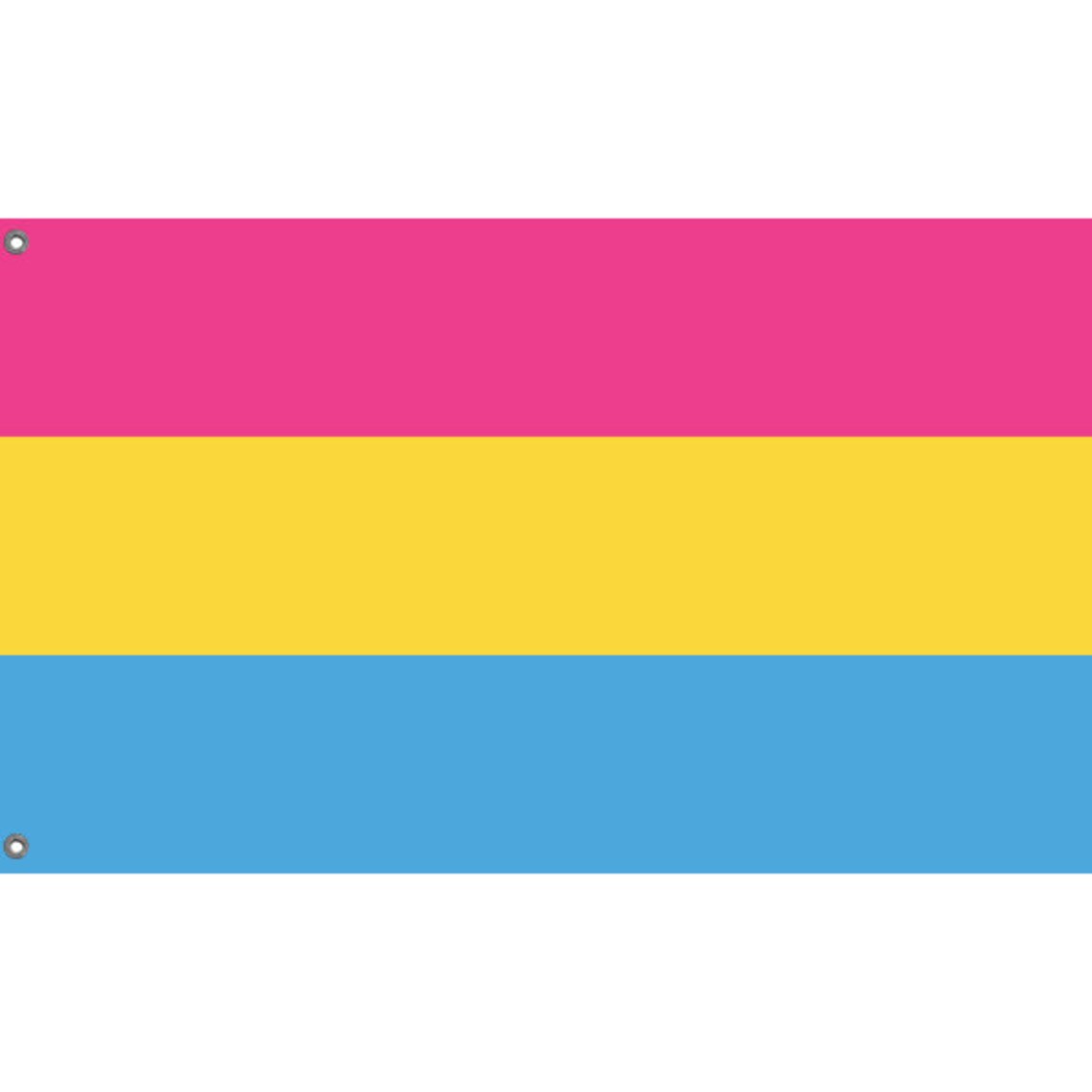 Pansexual Pride Flag | Unique Design Print | High Quality Materials | 5 ...
