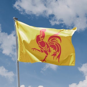 Flag of Wallonia, Belgium | Unique Design Print | High Quality Materials | Size - 3x5 Ft / 90x150 cm | Made in EU