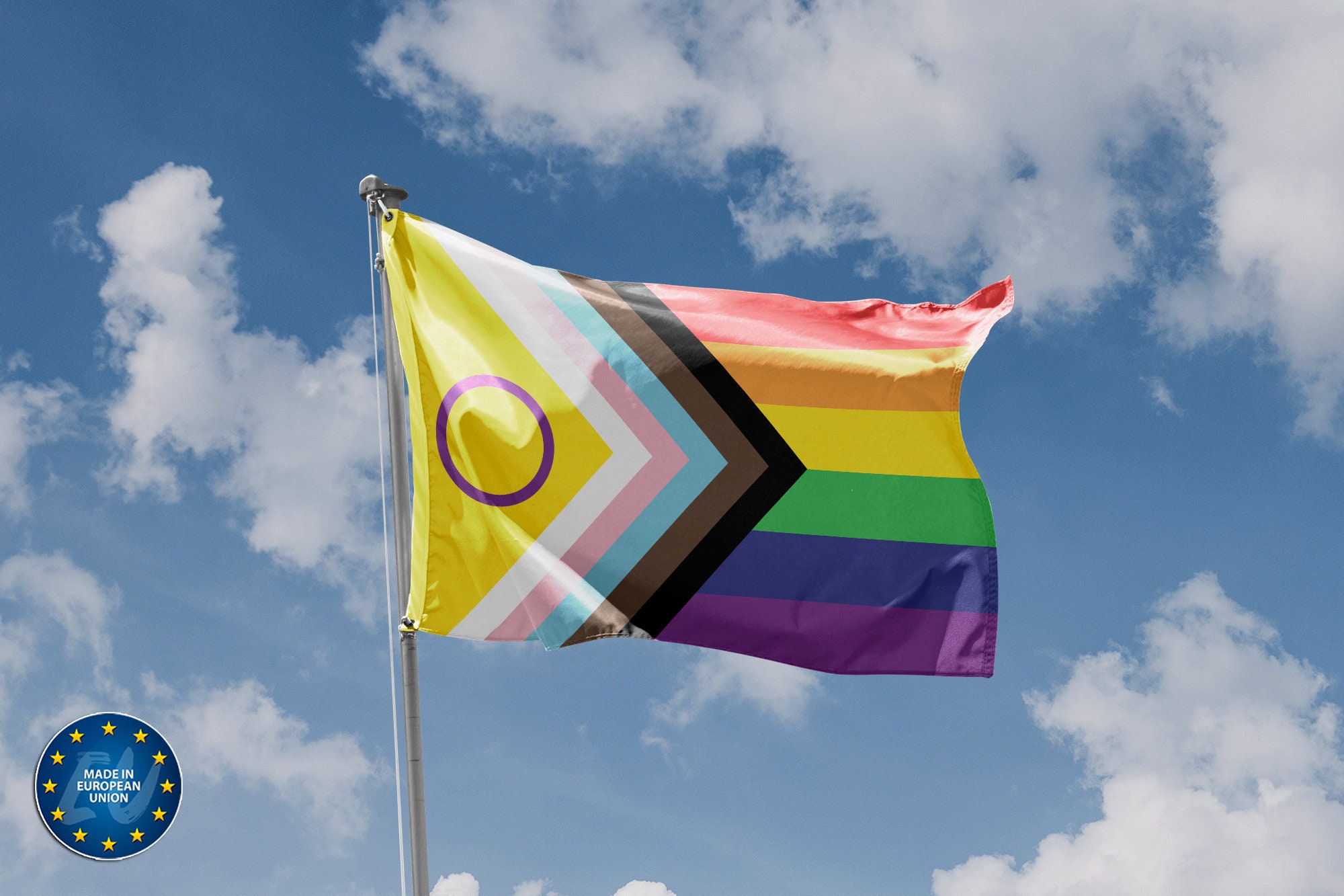 Intersex Inclusive Progress Pride Flag | Unique Design Print | High ...