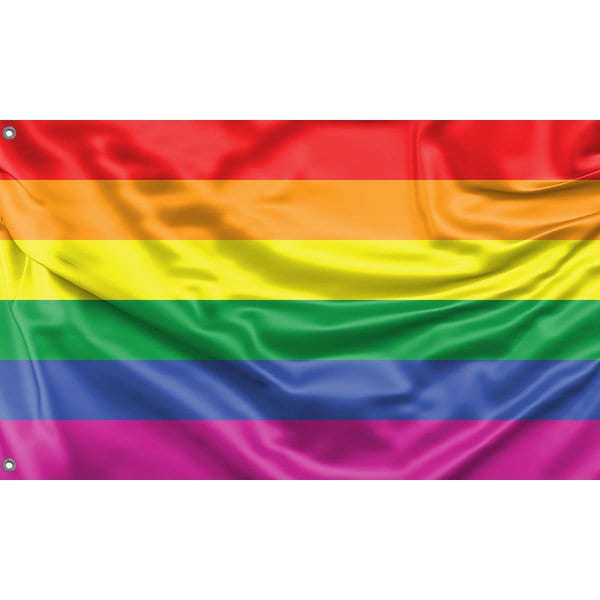 Lot 2 Bannières Arc-en-Ciel Fierté LGBT 10 M – 60 Drapeaux Colorés, Décorations Pride Parade, Mariage, Fête Gay