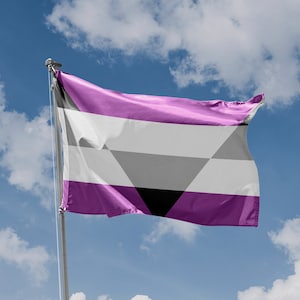 Könnte beinhalten: Eine asexuelle Pride-Flagge mit violetten, weißen, grauen und schwarzen Streifen, die im Wind weht vor einem blauen Himmel mit weißen Wolken.