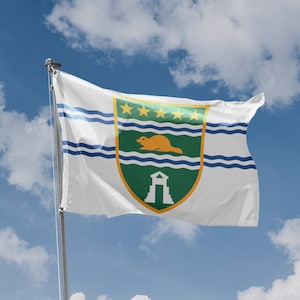 Flag of Surrey, Canada | Unique Design Print | High Quality Materials | Size - 3x5 Ft / 90x150 cm | Made in EU