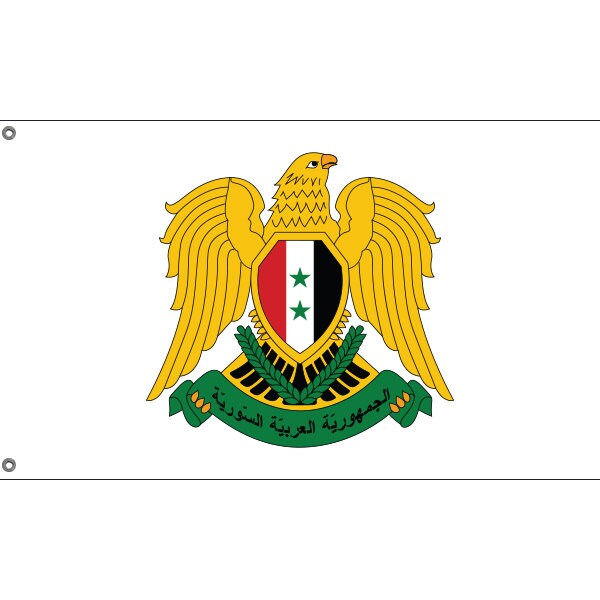 Blechschild 30x40 Syrien Flagge Länder National Fahne Asien Wand