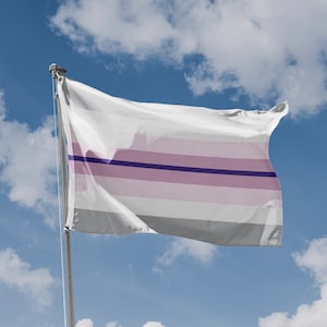 Paraboy Flag | Unique Design Print | High Quality Materials | Size - 3x5 Ft / 90x150 cm | Made in EU