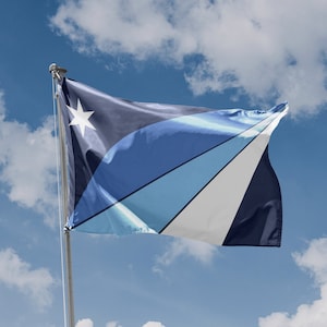 Columbia Flag, South Carolina USA | Unique Design Print | Hiqh Quality Materials | Size - 3x5 Ft / 90x150 cm | Made in EU