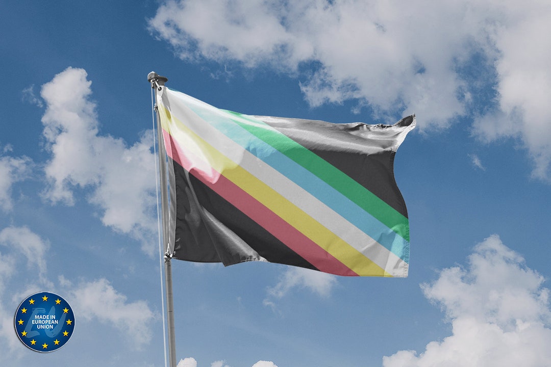 Visually Safe Disability Pride Flag | Unique Design Print | High ...