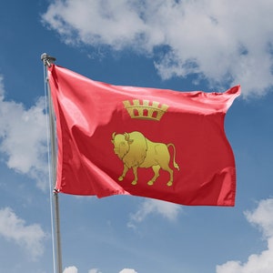 Hrodna Voblasts Flag | Unique Design Print | High Quality Materials | Size - 3x5 Ft / 90x150 cm | Made in EU