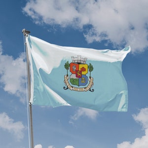 May include: A light blue flag with a coat of arms design, waving in the wind against a blue sky with clouds. The flag has a detailed emblem with various colors and shapes. A "Made in European Union" sticker is visible.