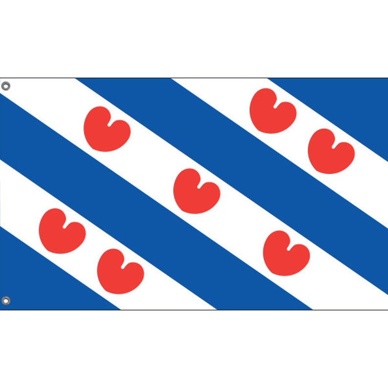 Netherlands Friesland Flag Unique Design Print High Quality Materials 5