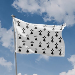 Drapeau De La Province De Bretagne flagga | Unikt designtryck | Material av hög kvalitet | Storlek - 3 x 5 fot / 90 x 150 cm | Tillverkad i EU
