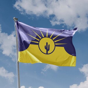 May include: A yellow and purple flag with a stylized sun and a cactus in the center. The flag is waving in the wind against a blue sky with white clouds.