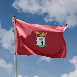 May include: A red flag with a coat of arms featuring a green tree and a black bear, against a blue sky with white clouds.