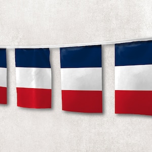 Ghirlanda con bandiera della Francia / Decorazione per la casa dal design unico / Materiali e stampa di alta qualità / Prodotto in UE