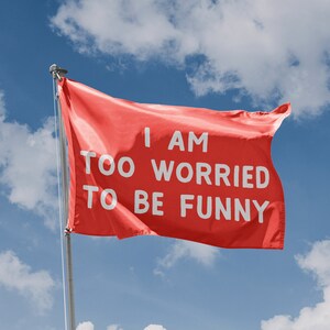 Bandera Too Worried To Be Funny / Diseño único / Materiales de alta calidad / Tamaño: 3 x 5 pies / 90 x 150 cm / Fabricado en la UE