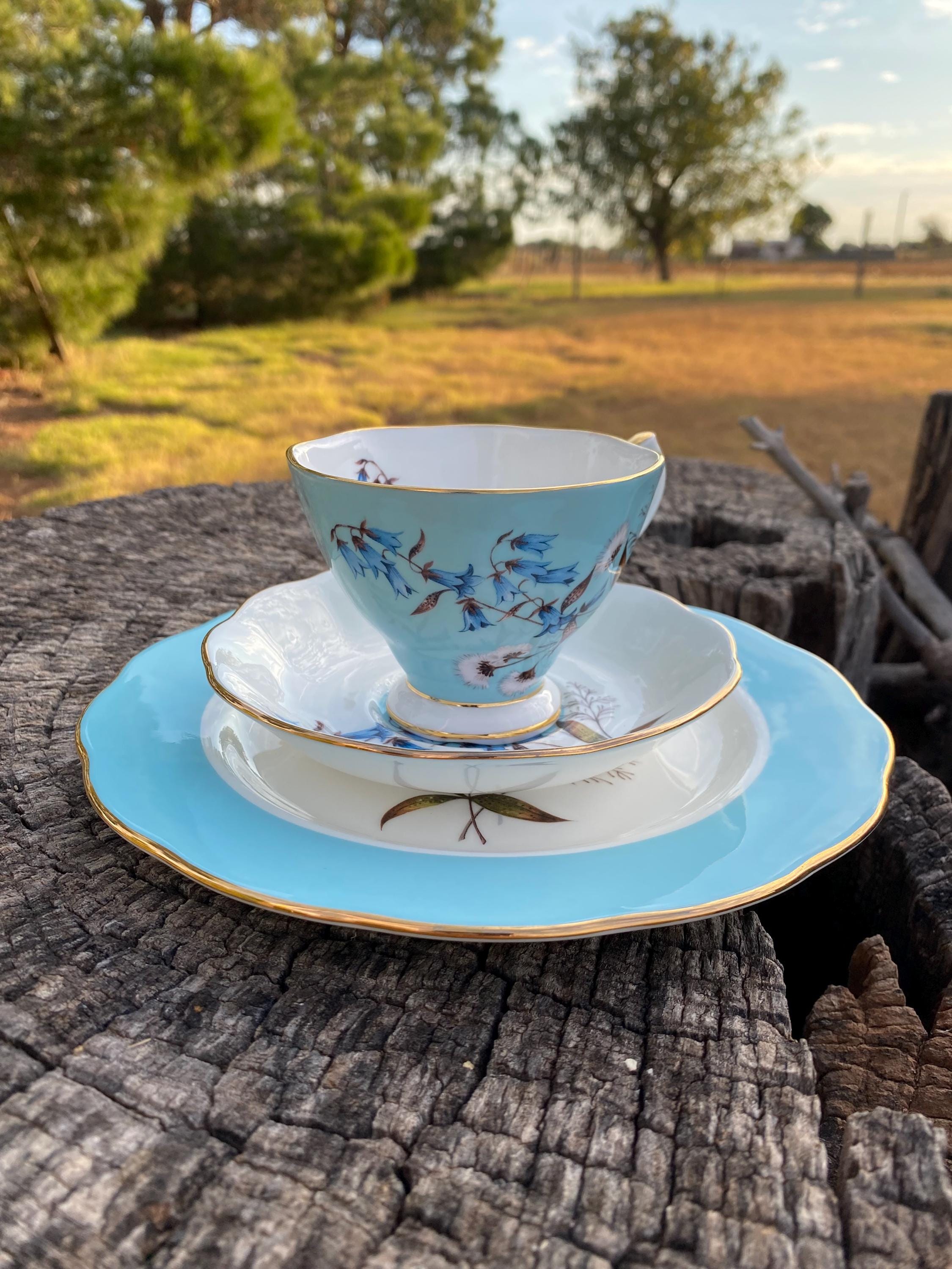 Royal Albert 1950s Festival Bone China Tea Cup, Saucer and Plate