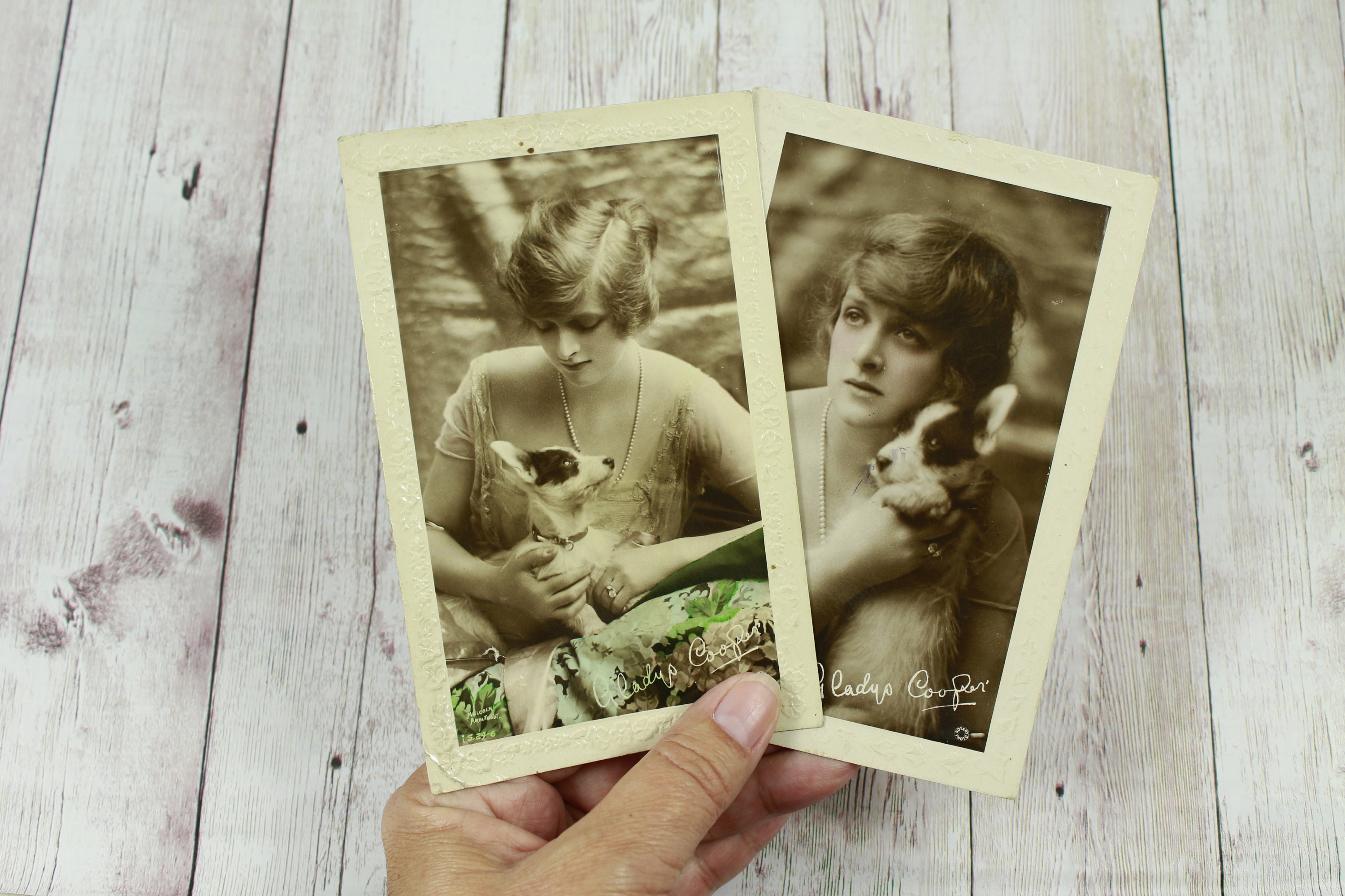 Image of 1920S 2 Postcards Of Edwardian Actress Gladys Cooper With Puppy, Hand Coloured Photographic Theatre Memorabilia, Malcolm Arbuthnot