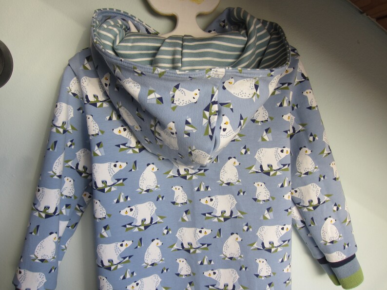 Winter Baby Lang Arm Pullover With Hoody, Polar Bears Bio Sweatshirt in ...