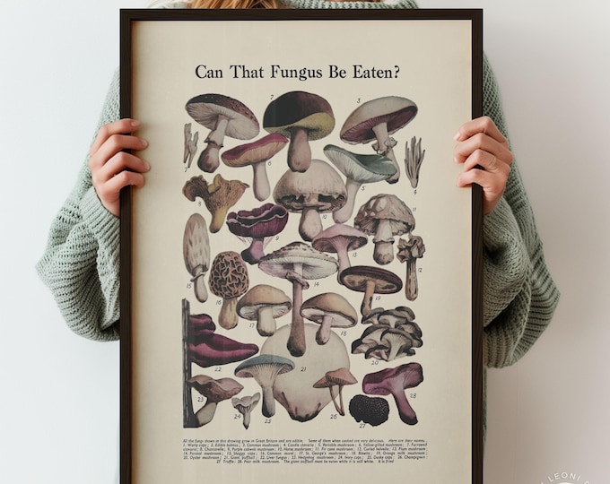 Vintage Mushroom Identification Chart Print - Botanical Foraging Wall Art, Rustic Kitchen Poster, Framed or Unframed