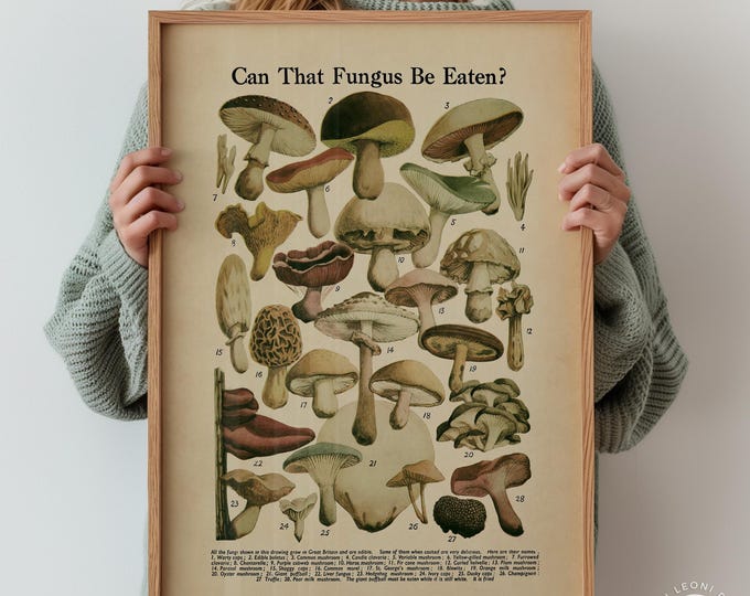 Vintage Mushroom Identification Chart - Botanical Fungi Print, Cottagecore Wall Art